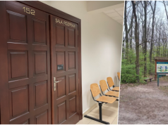 Wkrótce decyzja sądu w sprawie nastolatka, który w Lasku Lipie śmiertelnie ugodził nożem rówieśnika