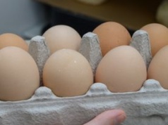 Czy większe jajka są smaczniejsze? Odpowiedź może niektórych zaskoczyć