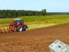 KOWR wydzierżawi niemal 135 ha w Wielkopolsce. Jaki czynsz?