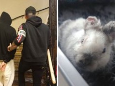 Okaleczył Marcysia. 21-latek trafił do aresztu