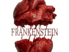 Frankenstein - spektakl taneczno-akrobatyczny. Godz. 15:00