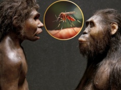 Komary nie zawsze atakowały ludzi. Oto dlaczego zaczęły nas gryźć