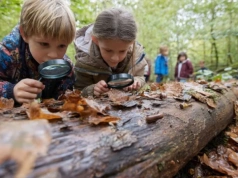 Dobra wiadomość dla rodziców. Katowice zwiększają dofinansowanie do wyjazdu na "zielone szkoły"