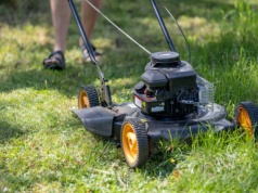 Kiedy pierwsze koszenie trawy w 2026? Nie rób tego za wcześnie, a będziesz mieć piękny ogród
