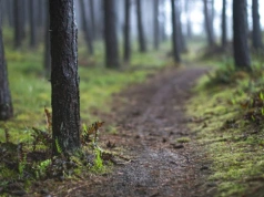 Planujesz dziś wyjść w góry? Warunki na szlakach mocno cię zaskoczą