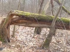 Przejście przez źródło Siarczanej