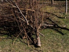 Sypią się wysokie mandaty. Kara może sięgać nawet 5 tys. zł