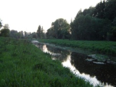 Operacja Czysta Rzeka 2026 startuje w Częstochowie — sprzątamy Stradomkę