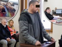 Psy sąsiada goniły mu syna. Został oskarżony o coś strasznego. "Stan Ami był tragiczny"