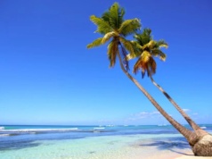 Dominikana – wszystko, co musisz wiedzieć przed pierwszą podróżą