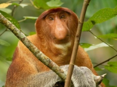 Za darmo to uczciwa cena. Oferta na darmowe gry PC w marcu