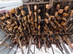 Zapach odstrasza nawet największych cwaniaków. Na Islandii to codzienność