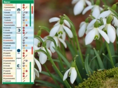 Kalendarz biodynamiczny na marzec 2026. Sprawdź najlepsze dni na cięcie, siew i sadzenie