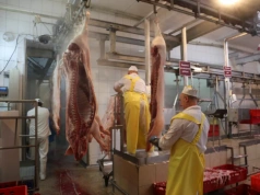 AI w ubojni zamiast człowieka. Nowy system oceni tuszę w 3 sekundy