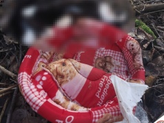 Martwy kot znaleziony w worku w gminie Markuszów. Trwa ustalanie okoliczności zdarzenia