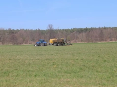 Kiedy nawozić łąkę? Terminy, dawki i błędy, przez które tracisz plon