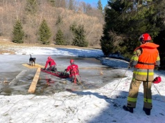 Dramatyczna akcja na stawie. Strażacy ratowali psa z lodowej pułapki