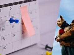 Urlop wypoczynkowy to nie wszystko. Tym osobom przysługują dodatkowe dni wolne