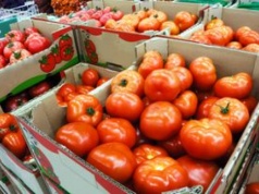 Wysłali pomidory do Polski. Zarobili 1,8 mld zł. Skąd pochodzą?
