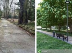 Wrocław szykuje największy od wojny remont Parku Szczytnickiego