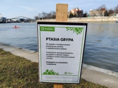 W Krakowie pojawiły się tablice informacyjne. To efekt wykrycia HPAI