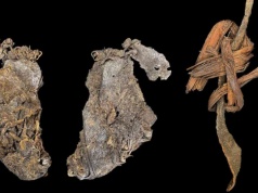 Zbieractwo, łowiectwo i… krawiectwo? Ubranie sprzed 12 tys. lat