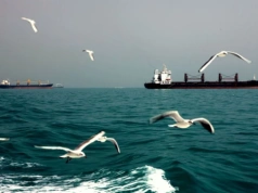 Blokada Cieśniny Ormuz. Możliwy powrót cen paliw po 6 zł za litr