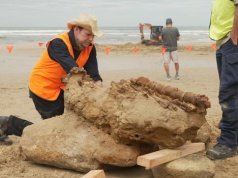 Rodzina spacerowała po plaży. Znalazła skarb sprzed milionów lat
