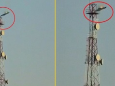 Pomyłka sojusznika. Wiadomo, kto zestrzelił trzy myśliwce USA