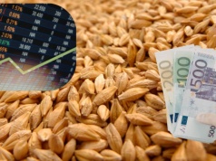 Ceny pszenicy, rzepaku i kukurydzy rosną. Wojna winduje ropę i notowania na MATIF