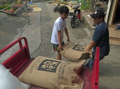Zmiany klimatu uderzają w produkcję kawy. Raport pokazuje skalę problemu