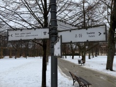 Sikamy pod krzakiem. "5,5 mln Polaków nie ma dostępu do publicznej toalety"