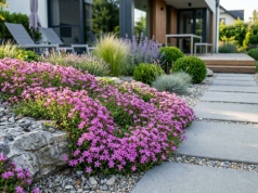 Zapomnij o petuniach. Inna roślina pachnie słodko jak wanilia i zamieni ogród w morze kwiatów