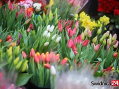 Dzień Kobiet w powiecie świdnickim. Jakie zaplanowano wydarzenia?