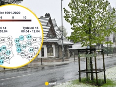 Wiemy, czy śnieg i mróz wrócą jeszcze do Polski. Taka pogoda czeka nas do końca marca
