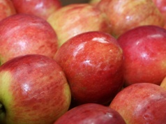 Eksport polskich jabłek do Brazylii czeka na decyzję