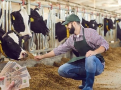 Rolnicy pod ścianą. Ceny skupu nie pokrywają kosztów, rząd odpowiada