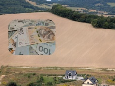 Dopłaty bezpośrednie 2026 – ekoschematy od 15 marca. Lista praktyk i najważniejsze zmiany. Jakie?