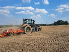 Ceny ziemi rolnej w Polsce - dane GUS. Gdzie najtaniej, a gdzie najdrożej?