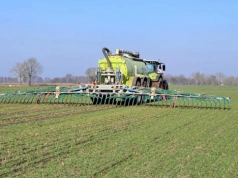 Najlepsze efekty po pofermencie! Poznaj sposób na wiosenne nawożenie zbóż
