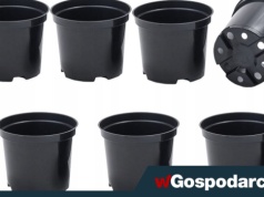 Unia zakaże plastikowych doniczek