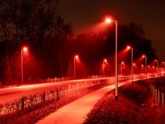 Miasta zaświecą na czerwono? Chodzi o zwierzęta i bezpieczeństwo