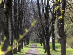 Wiosna w Polsce przyspiesza! Nawet 15 stopni C w środę, ale są też ostrzeżenia