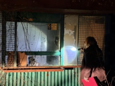 Po zmroku jeździli po mieście, licząc i pomagając bezdomnym