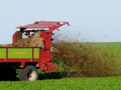 Kuriozum do kwadratu. Rolnicy będą karani za stosowanie obornika?