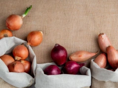 Posadź właściwą dymkę w marcu. Jedna daje cebule, druga ekspresowy szczypior