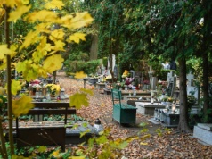 Zmiany w cenniku usług cmentarnych. Poszczególne stawki wzrosną o około 39%.