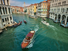 Groźny gatunek krąży wokół Wenecji. Włosi szukają metody na inwazję żebropławów