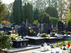 Pośmiertne odznaczenie i tabliczka na grobie dawcy. "Forma uhonorowania"