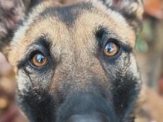 1,5% podatku może zostać w Chojnicach. Apel wiceburmistrza Adama Kopczyńskiego